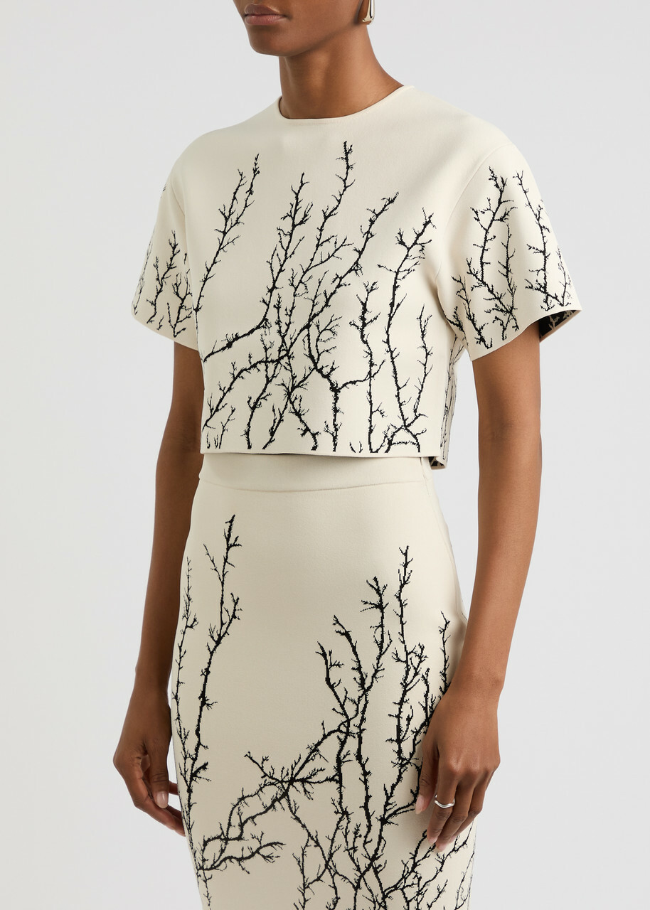 Alexander Mcqueen Thorn Branches Knitted Crop top Multi Print