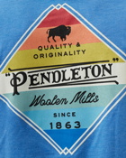 Pendleton Diamond Stripes Graphic Tee Blue - Mens - Shortsleeves