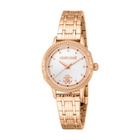 Roberto Cavalli Core Silver-tone Dial Ladies Watch RC5L094M0075