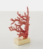 L'Objet Coral bookend