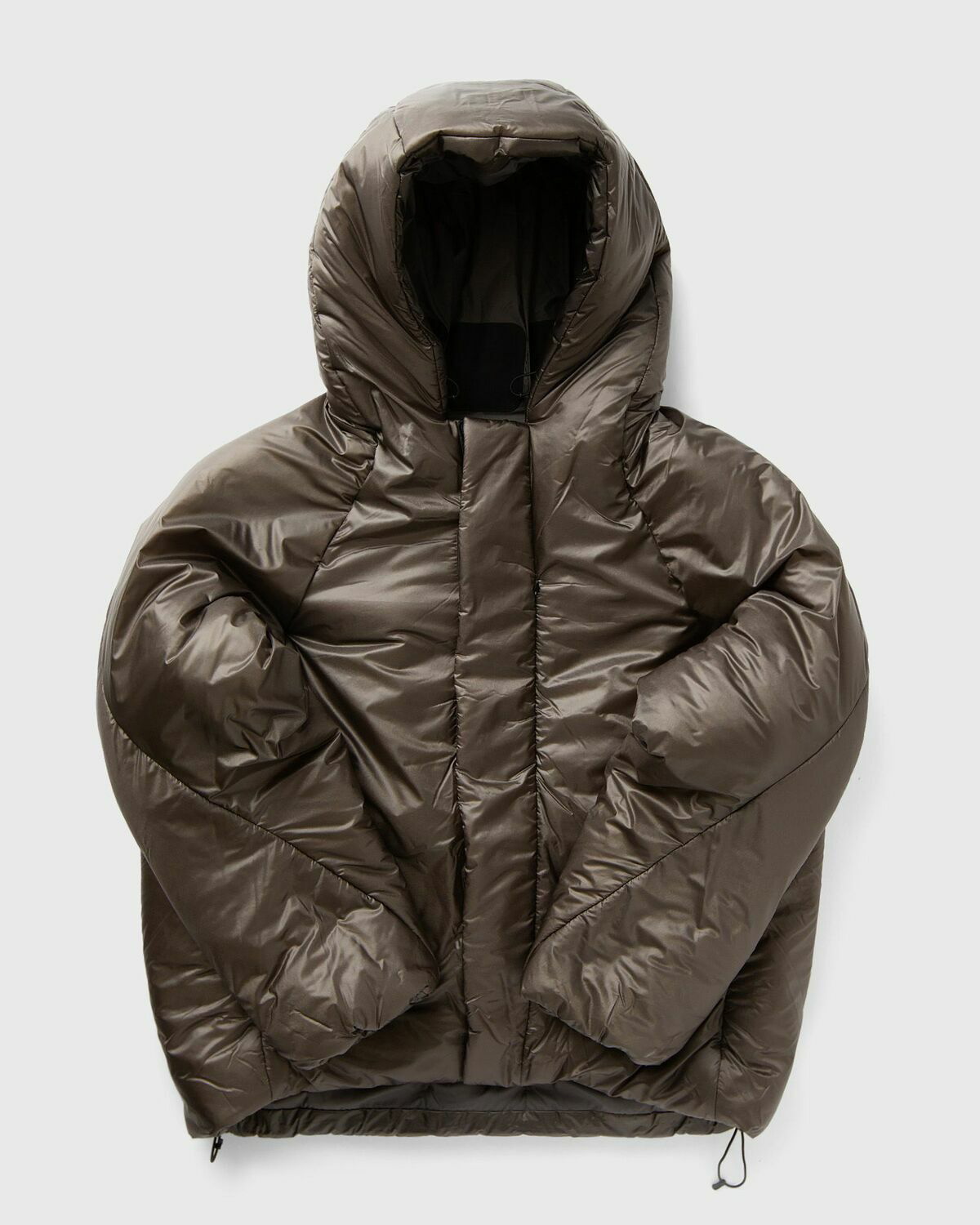 Goldwin Cloud Helicoid Parka Brown Down & Puffer Jackets