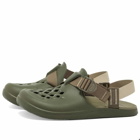 Chaco Men's Chillos Clog in Moss