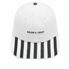 Bram's Fruit Men's Canopy Cap in White/Green Striped 