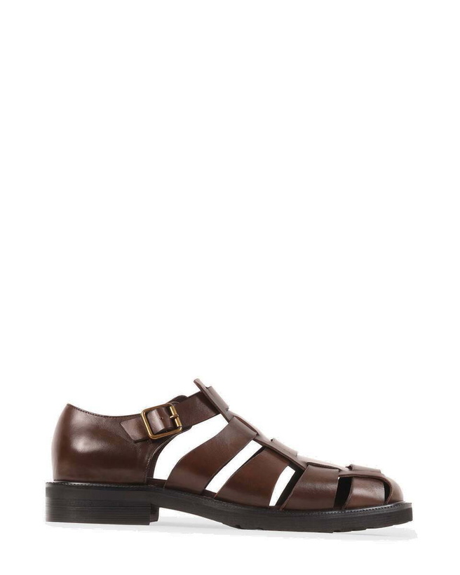 Photo: Steve Madden Havana Sandals in Brown