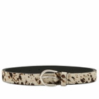 Molebo M2416 Belt in Multi Cow Pony