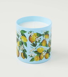 Dolce&Gabbana Casa Lemon scented candle