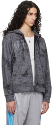Serapis Gray Track Hoodie