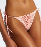 Roberto Cavalli Leopard-print bikini bottoms