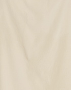 Peserico Womens Top in Beige