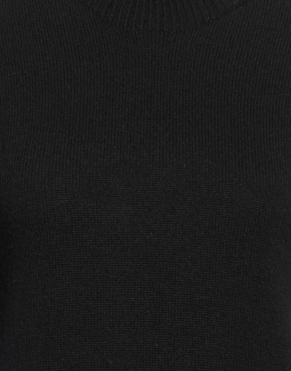 Peserico Womens Turtleneck in Black