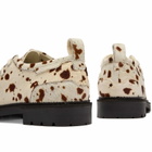 Duke + Dexter Men's Moby Shoe in Brown Cow