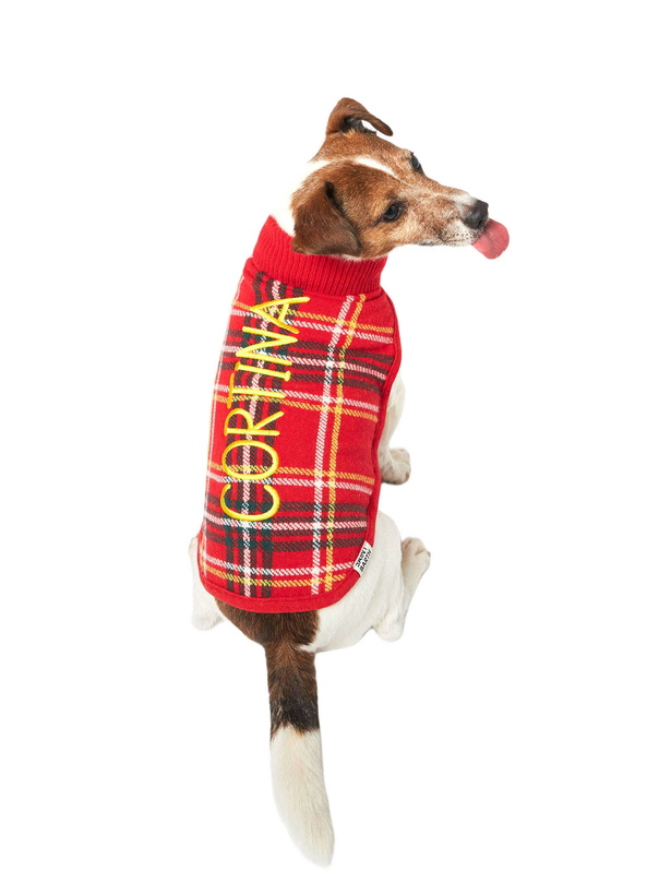 Photo: MC2 Saint Barth Dog Sweater With Tartan Print