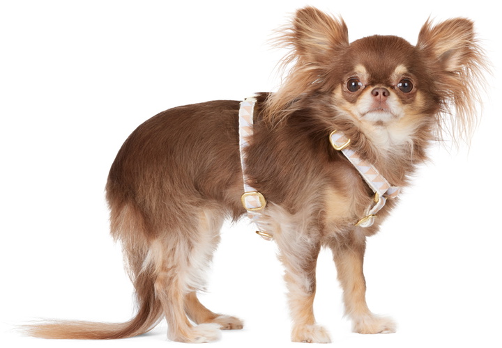 Photo: See Scout Sleep Beige & Off-White Extra Small Nice Grill Standard Collar