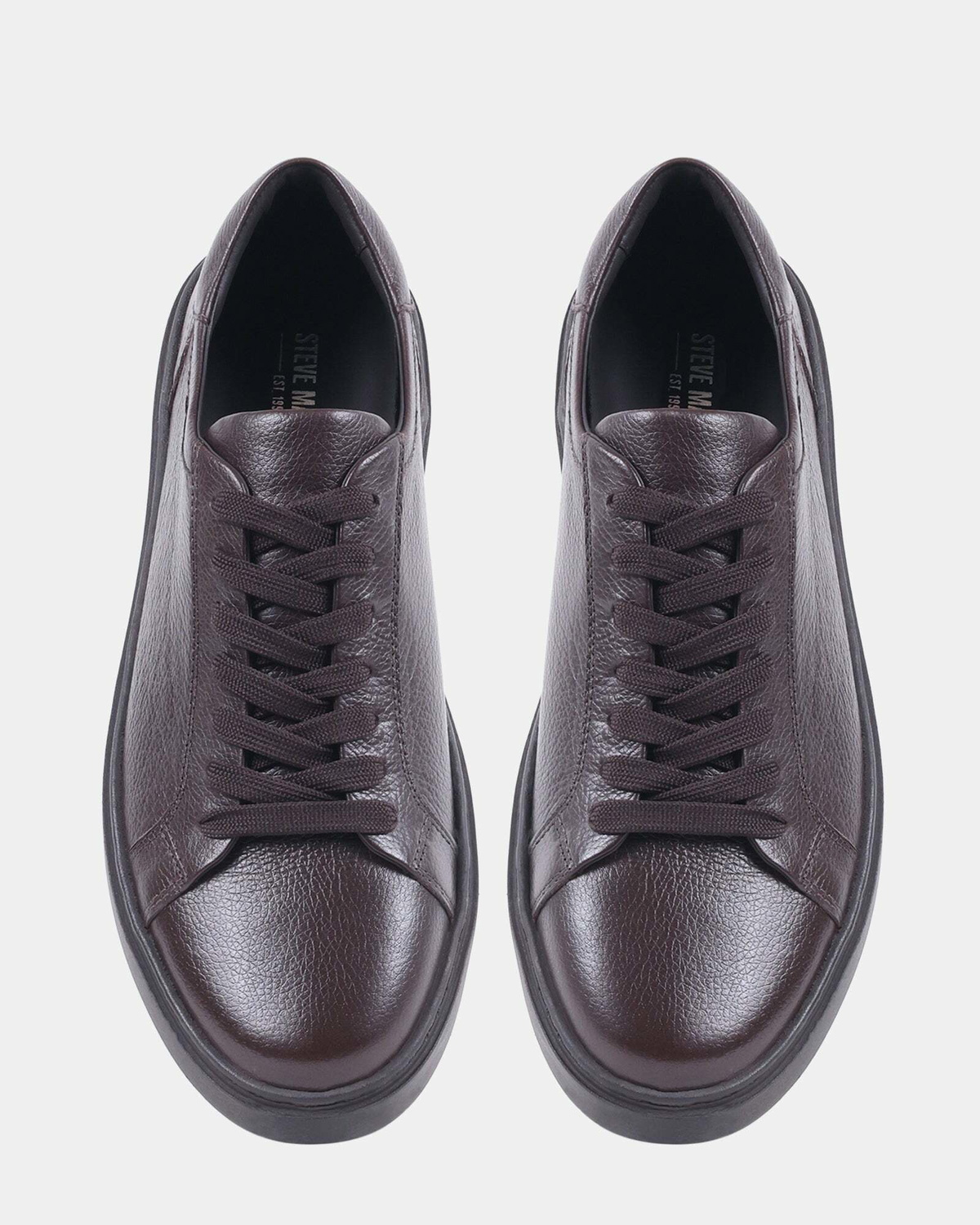 Steve Madden Argo Sneakers in Brown