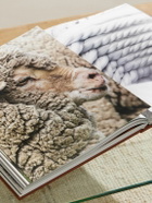 Assouline - The Ultimate Collection: Loro Piana: Masters of Fibres Hardcover Book