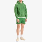 Les Tien Men's s Heavyweight Yacht Sweat Short in Washed Basil
