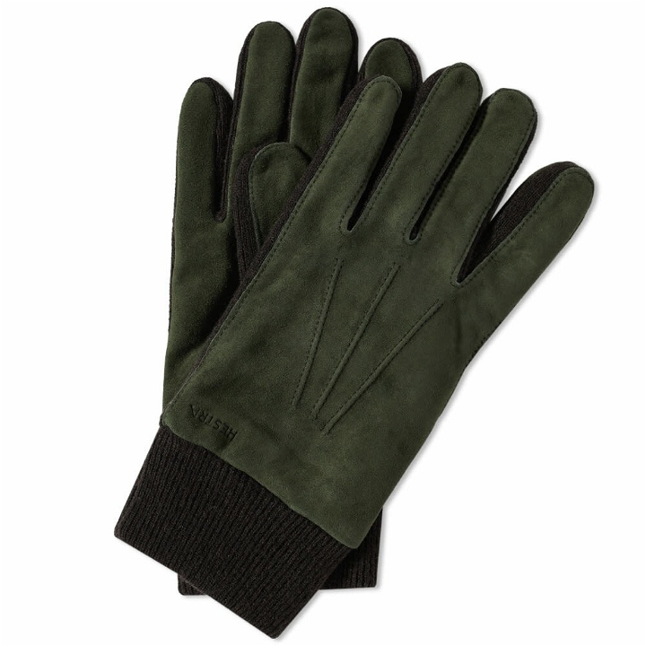Photo: Hestra Men's Geoffrey Glove in Green