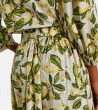 Adriana Degreas Printed cotton-blend maxi skirt