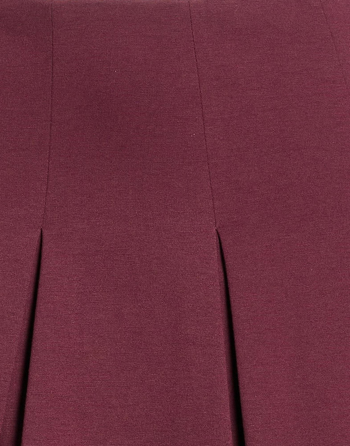 Jijil Womens Mini skirt Burgundy