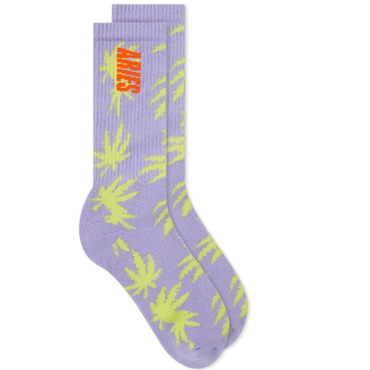 Photo: Aries Men's Weed Socks in Lilac