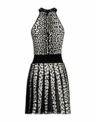 Roberto Cavalli Womens Mini dress in Black