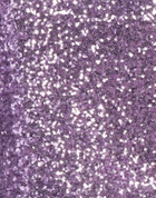 Jijil Womens Top in Purple