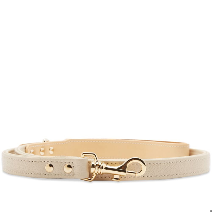 Photo: Sporty & Rich Grained Leather Dog Leash in Cream