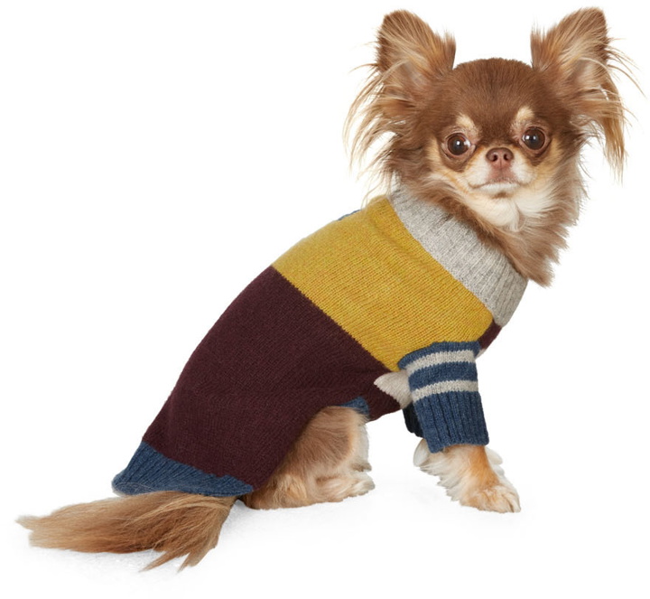 Photo: Ware of the Dog Multicolor Crazy Stripe Sweater