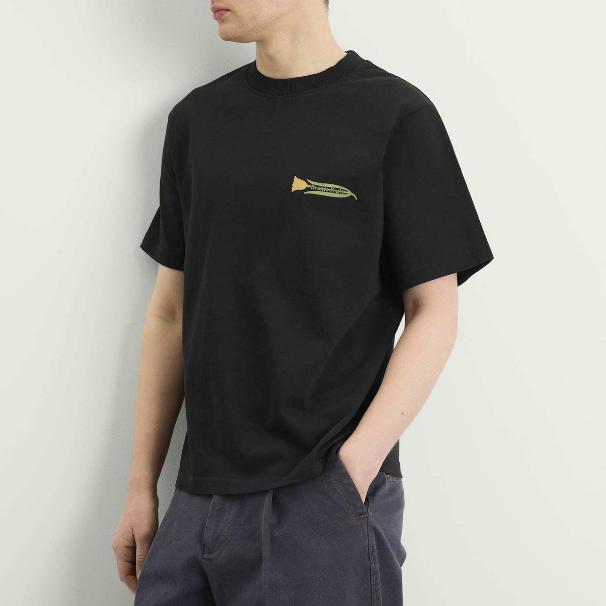 Bram's Fruit Men's Botanical T-Shirt in Black