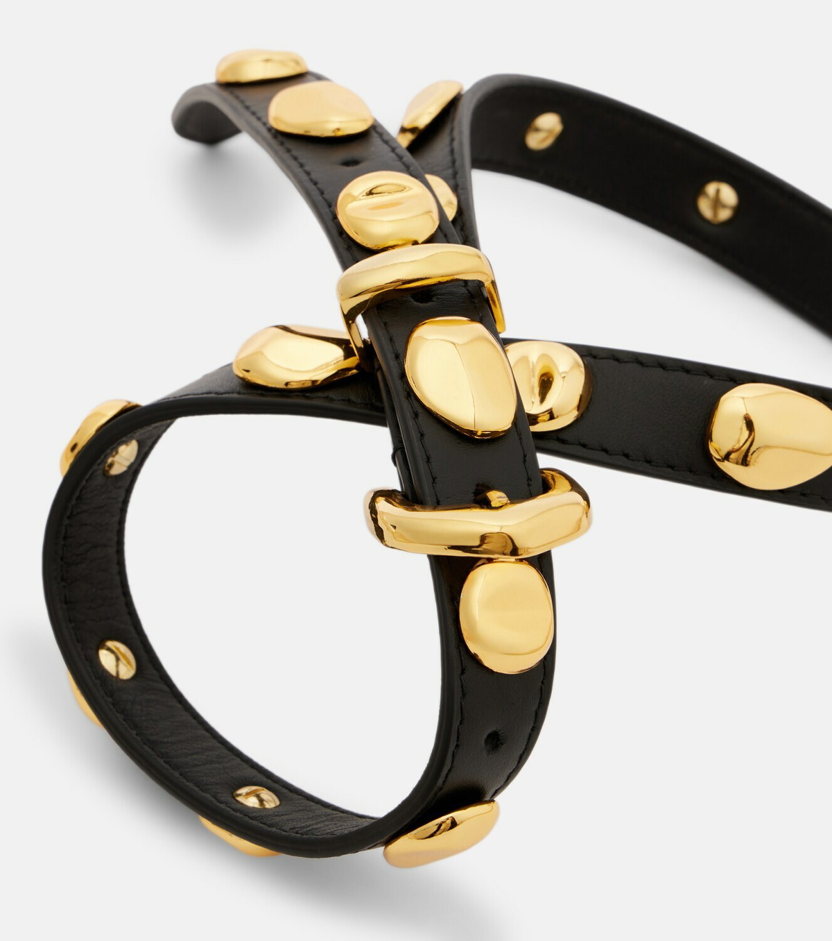 Amanu Vaal embellished leather belt