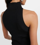 Dion Lee Ribbed-knit cutout top
