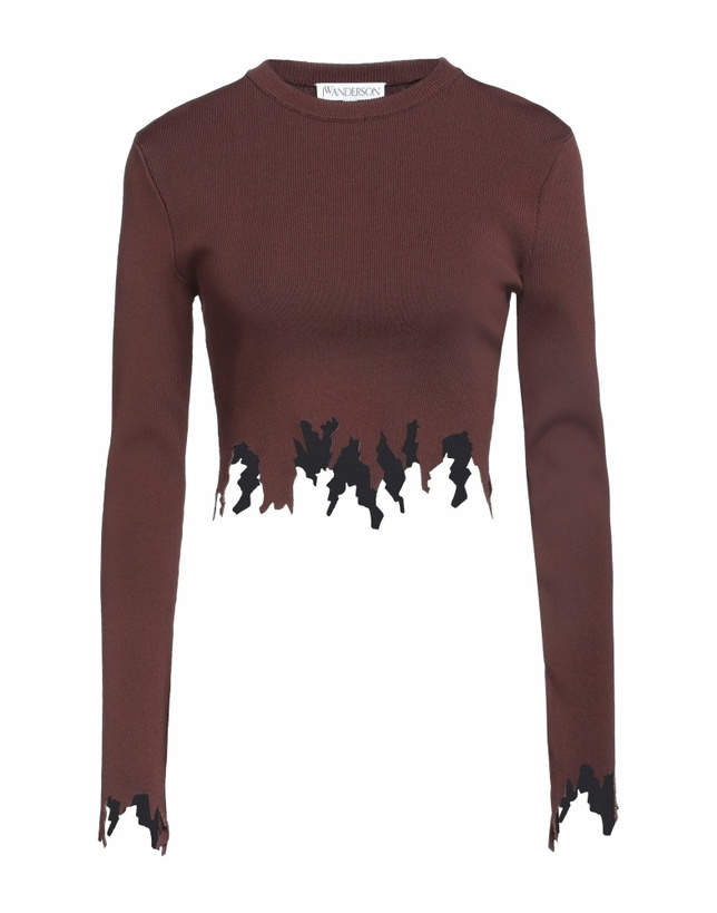 Photo: Jw Anderson Womens Sweater Chocolate in Brown