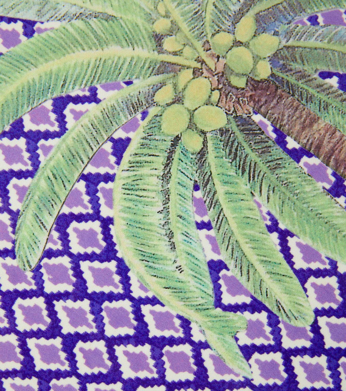 Lisa Corti Hima Palma set of 2 placemats