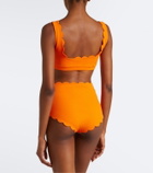 Marysia Palm Springs scalloped bikini top
