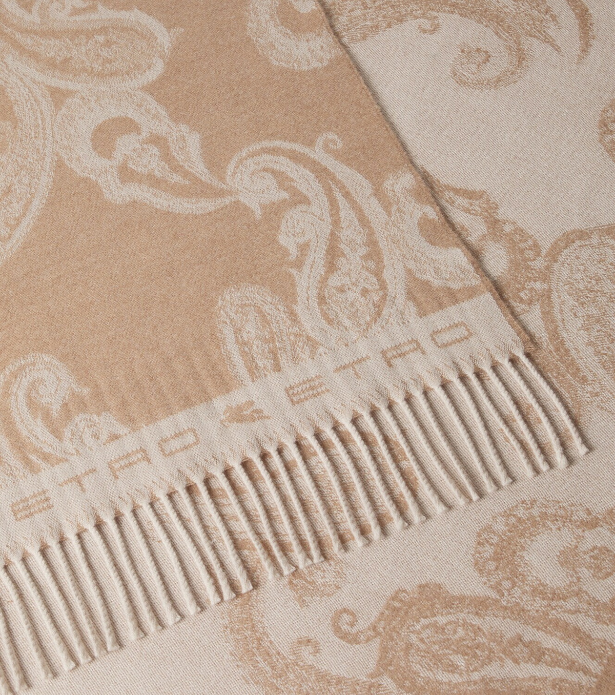 Etro Fringed paisley wool throw