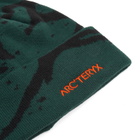 Arc'teryx Men's Grotto Toque in Eden/Black 