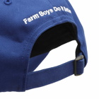 Sky High Farm Men's Farm Logo Cap in Blue