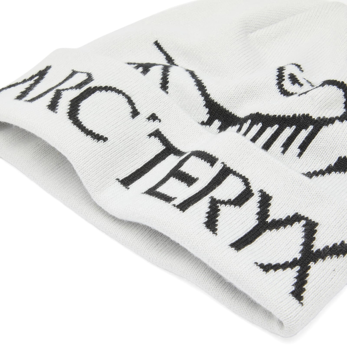 Arc'teryx Bird Word Toque in Orca 