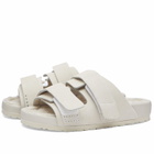 Birkenstock 1774 x TEKLA Uji Suede in Powder