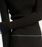 Proenza Schouler Daniella ribbed-knit sweater