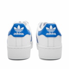 Adidas Superstar XLG Sneakers in White/Blue