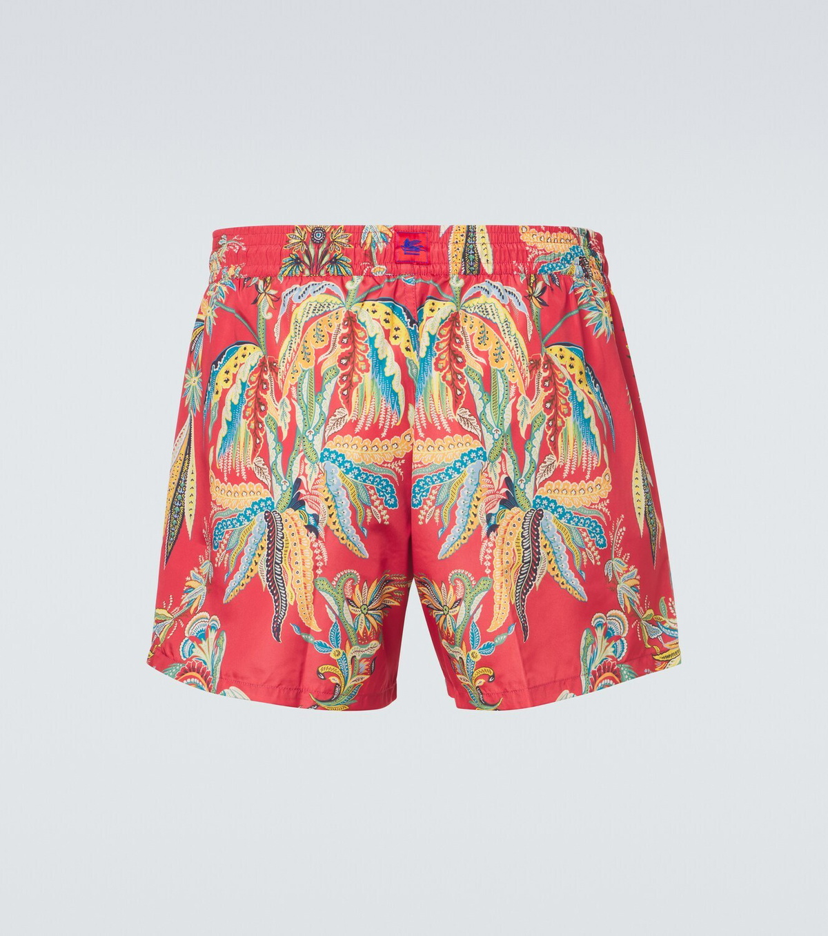 Etro Printed swim trunks