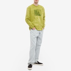 Polar Skate Co. Men's Long Sleeve Leaves And Window T-Shirt in Pea Green