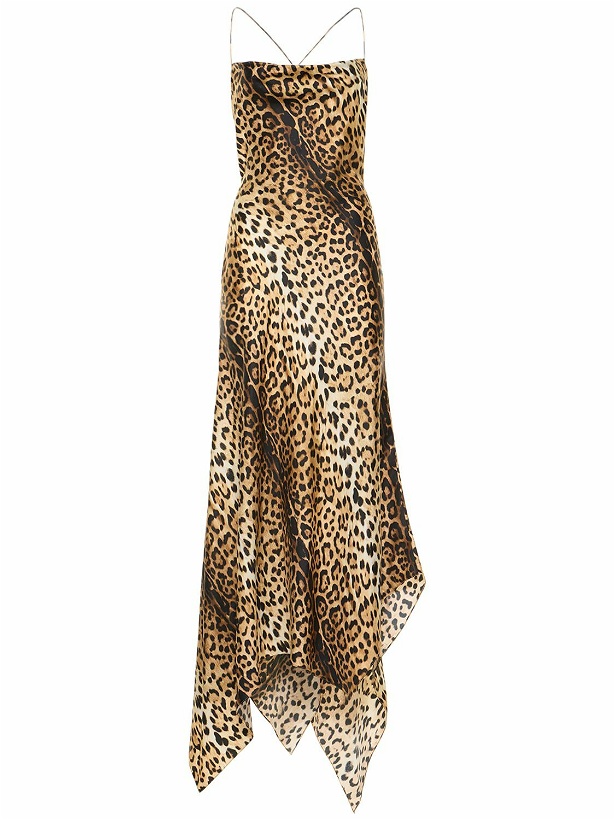 Photo: ROBERTO CAVALLI Jaguar Print Silk Twill Long Cami Dress