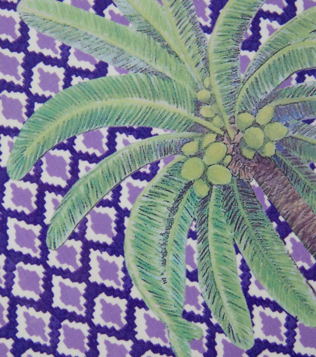 Lisa Corti Hima Palma Pervinch set of 2 placemats