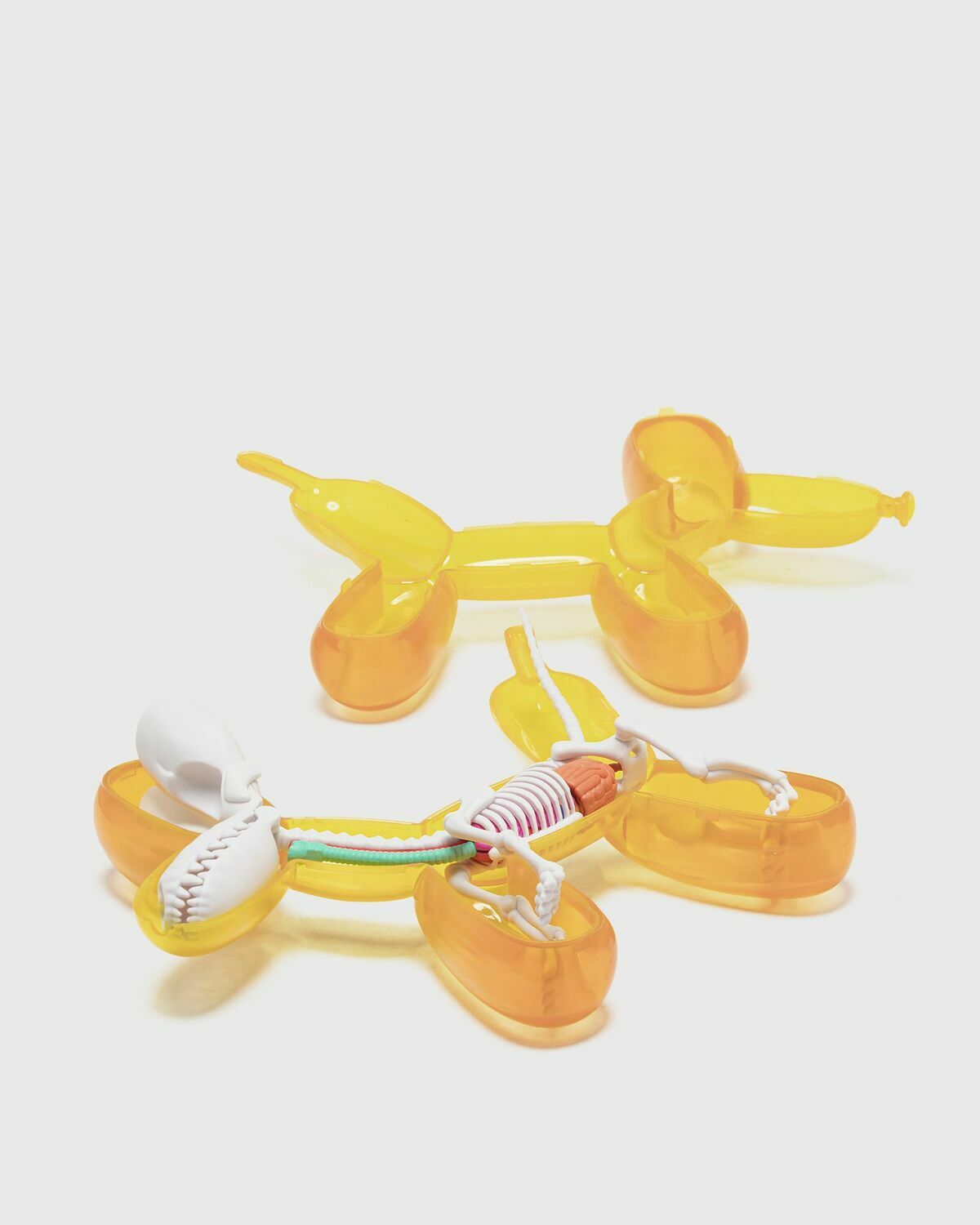 Mighty Jaxx Funny Anatomy Balloon Dog (Honey Edition) Multi-color Mens Collectibles & Toy