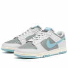 Nike Men's Dunk Low Retro Se Sneaker in Photon/Denim/Grey