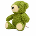 BEAMS JAPAN Teddy Bear in Matcha 