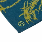 Aries Women's Skeletor Skull Beanie in Petrol 