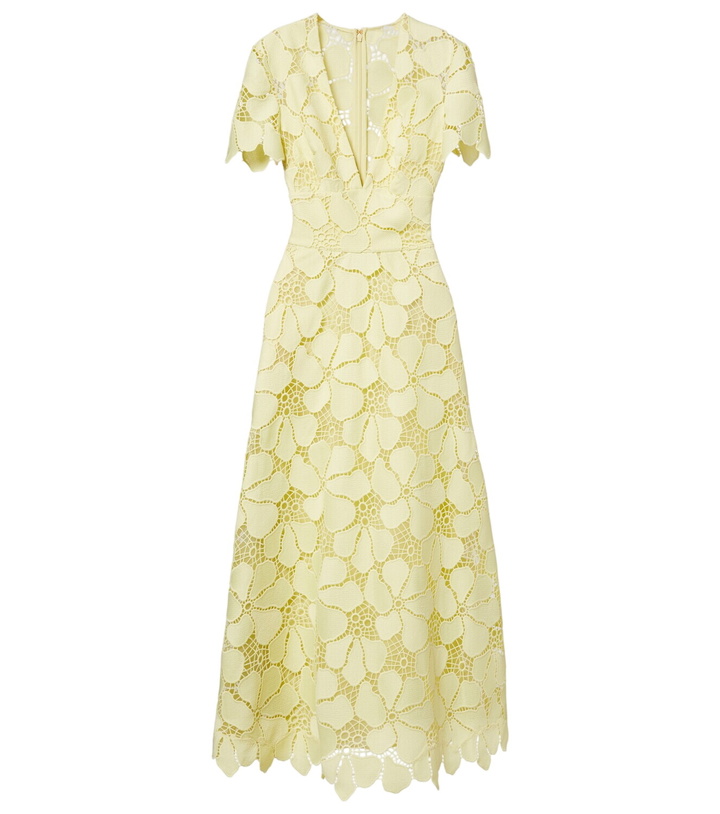 Photo: Elie Saab Floral silk-blend guipure midi dress